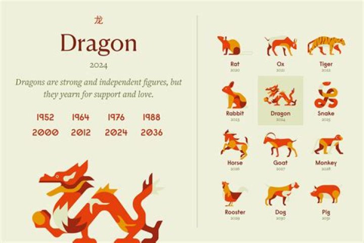 Dragon Year: A Comprehensive Guide to the Year of the Dragon in the Chinese Zodiac