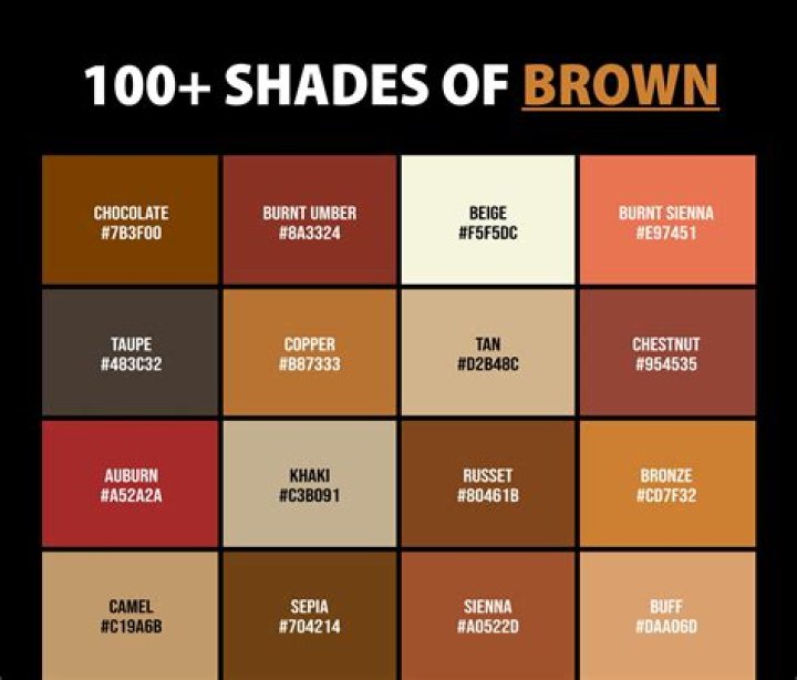 Is Neon Brown a Color? Exploring the Vibrant World of Neon Shades