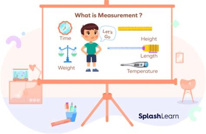 Rory Height: A Comprehensive Guide to Understanding the Measurement and Its Relevance