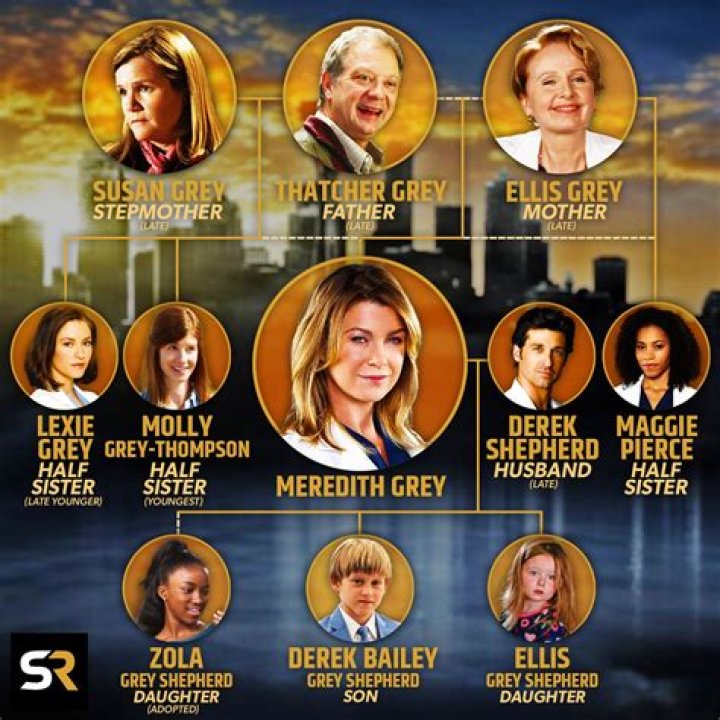 Understanding Meredith Grey's Mouth Scar: A Deep Dive into the Iconic Grey's Anatomy Character